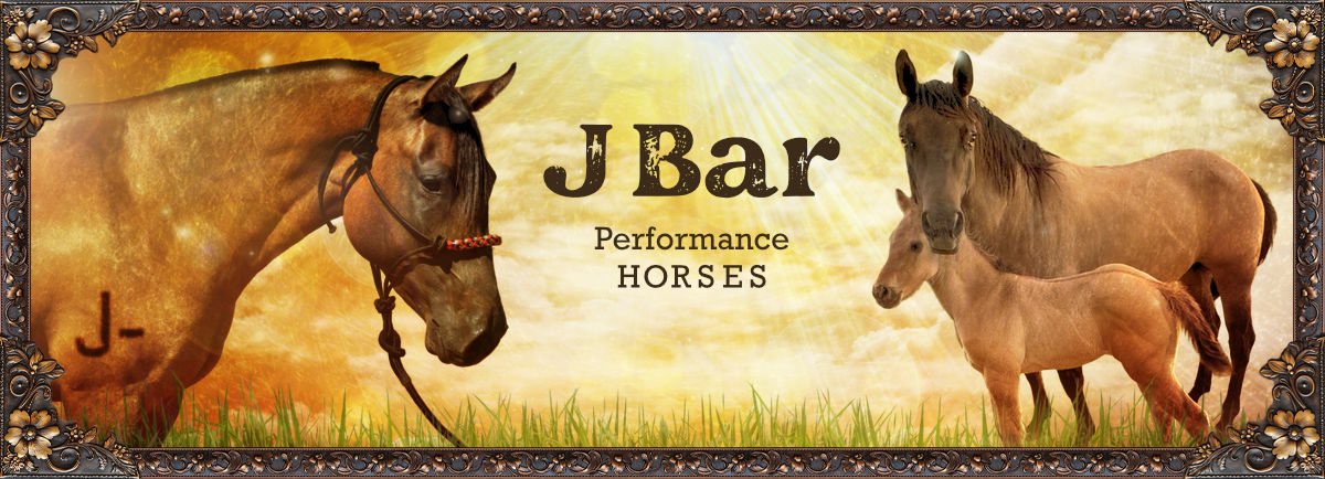 J bar Performance Horses